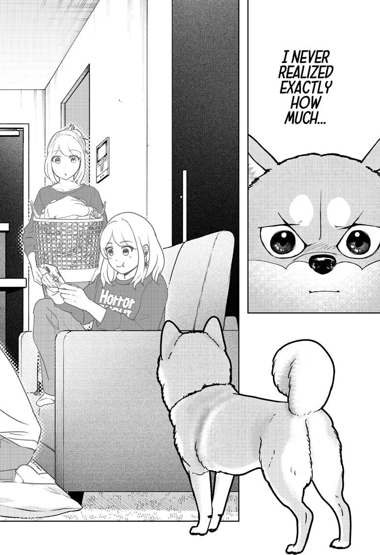 Shiba Inu Rooms Chapter 44 26