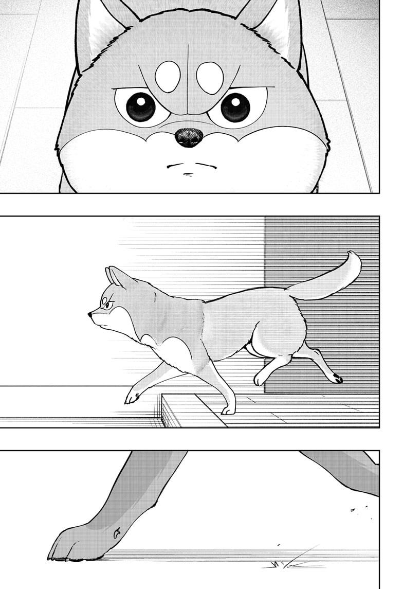 Shiba Inu Rooms Chapter 44 33