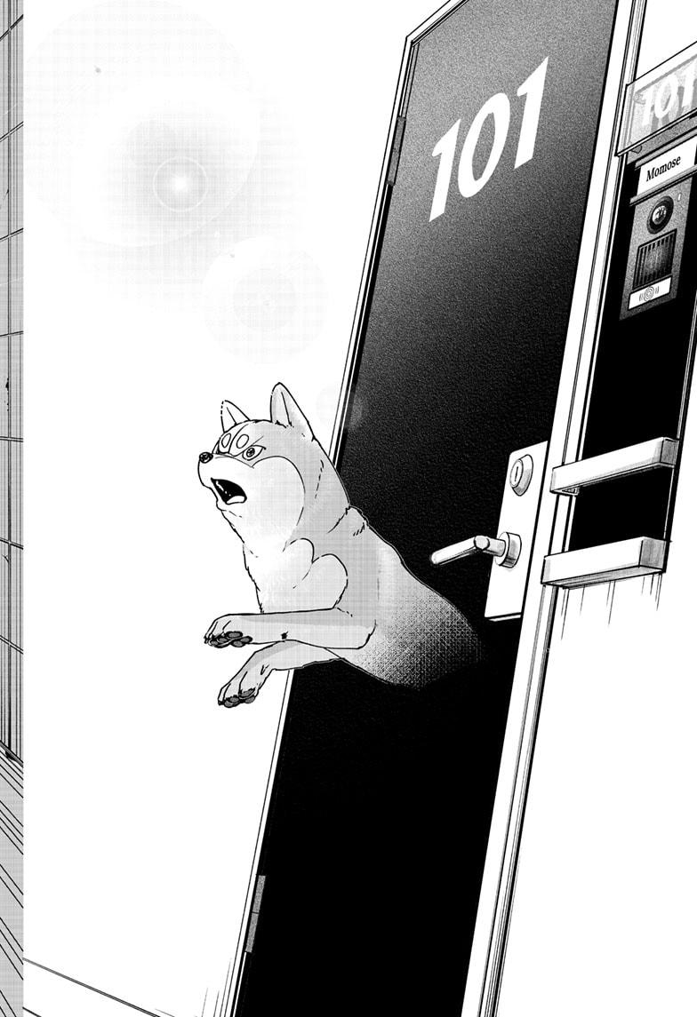 Shiba Inu Rooms Chapter 44 34