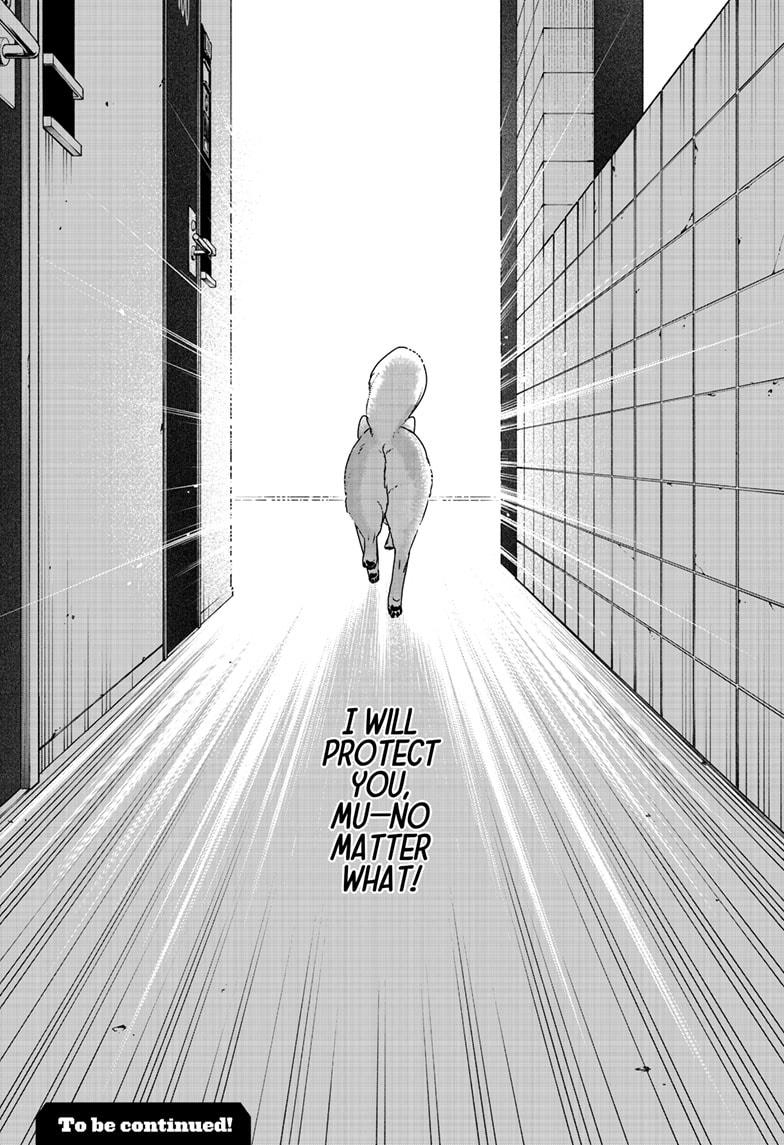 Shiba Inu Rooms Chapter 44 35