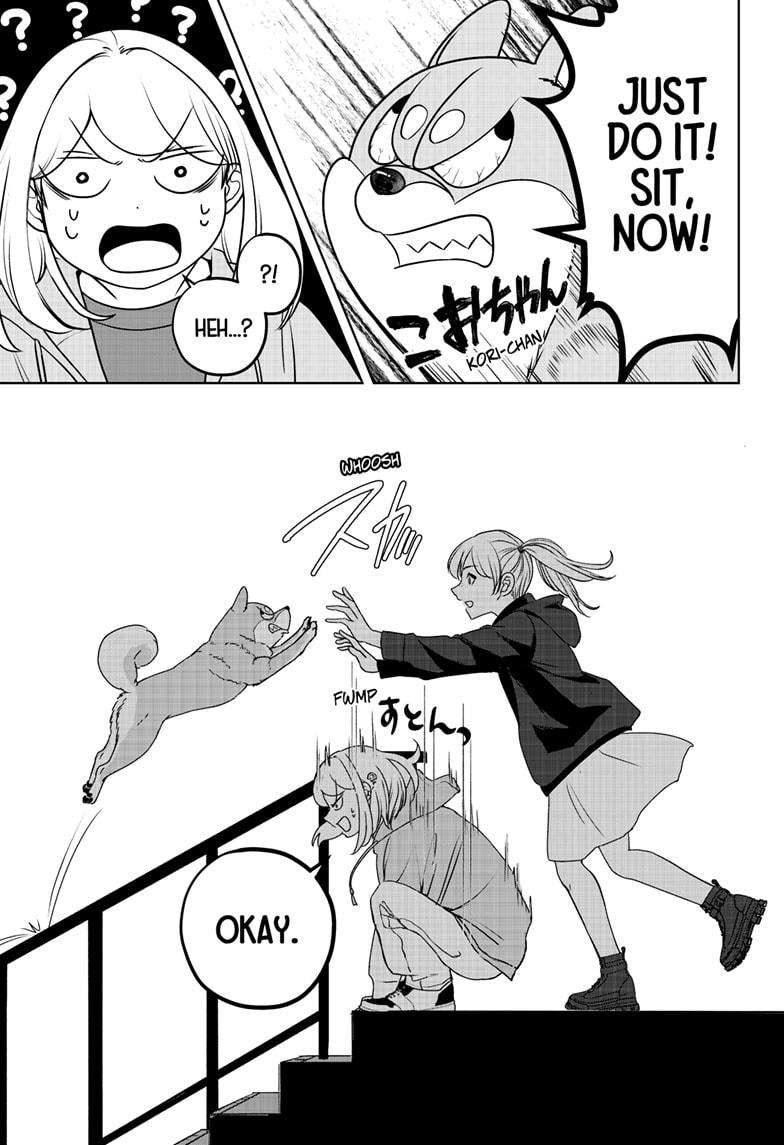 Shiba Inu Rooms Chapter 45 18