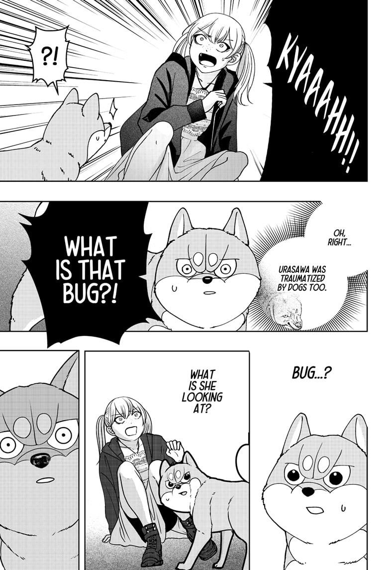 Shiba Inu Rooms Chapter 45 20