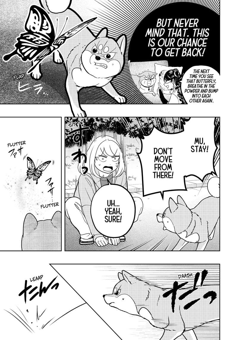 Shiba Inu Rooms Chapter 45 22