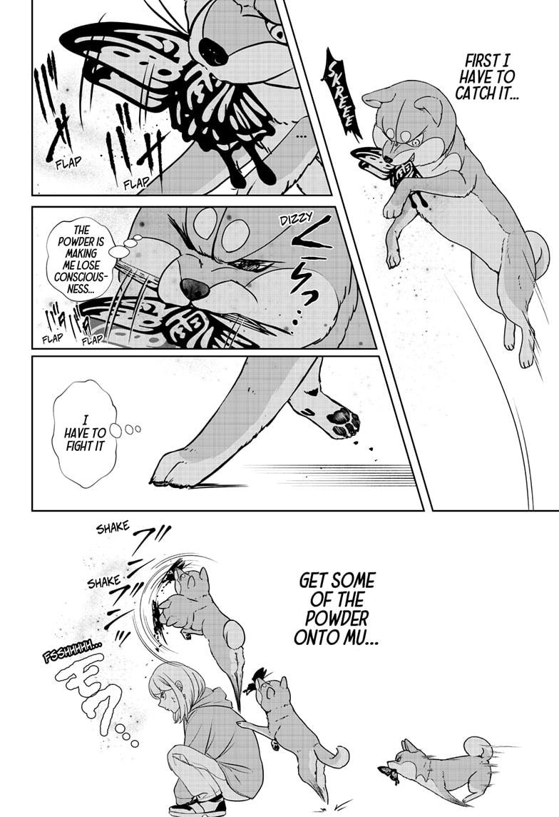 Shiba Inu Rooms Chapter 45 23