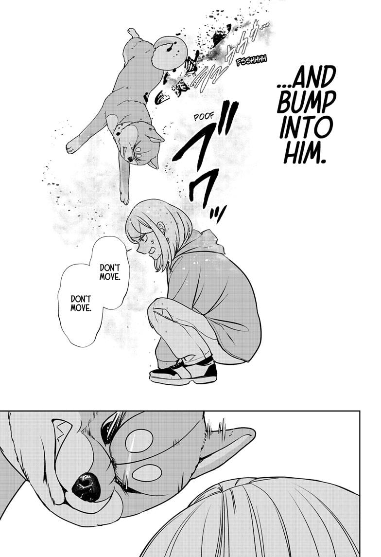 Shiba Inu Rooms Chapter 45 24