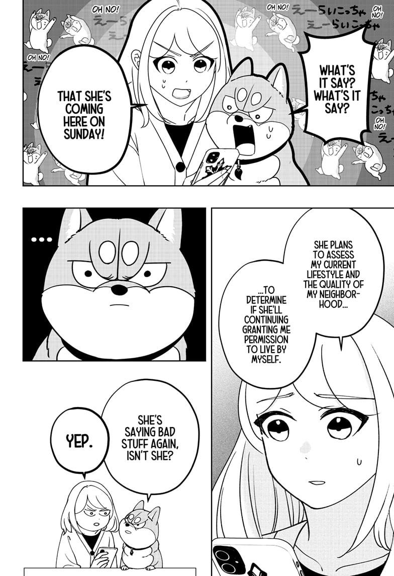 Shiba Inu Rooms Chapter 47 22