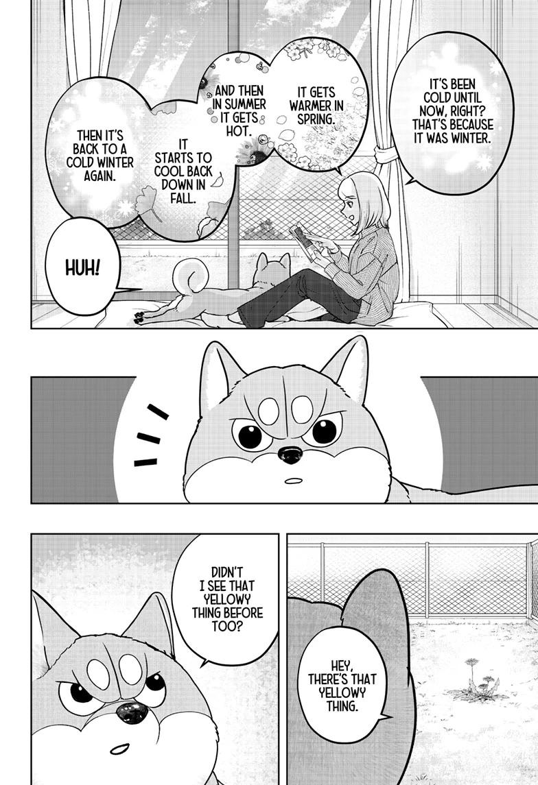 Shiba Inu Rooms Chapter 49 2