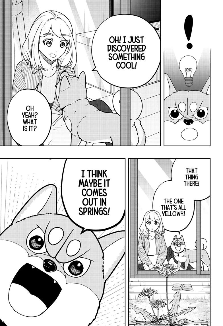 Shiba Inu Rooms Chapter 49 3