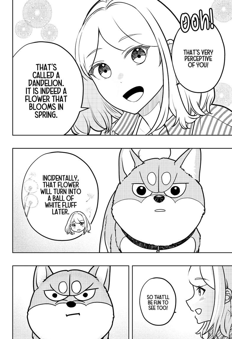 Shiba Inu Rooms Chapter 49 4