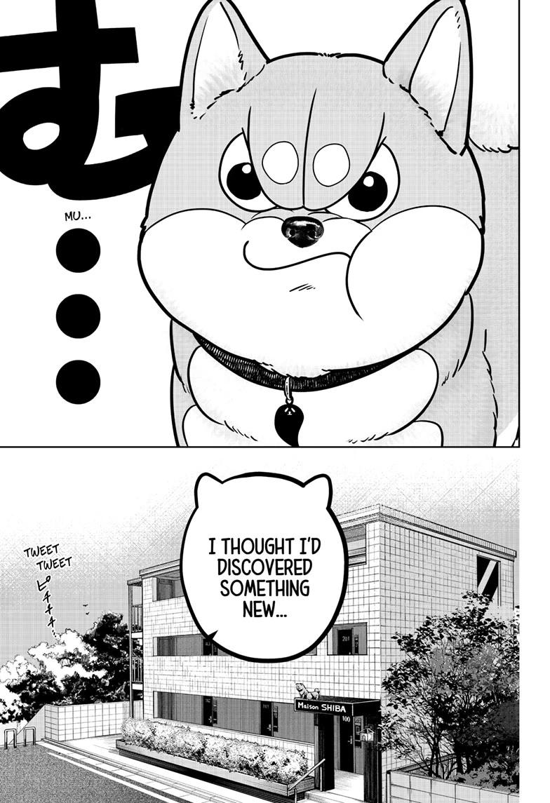 Shiba Inu Rooms Chapter 49 5