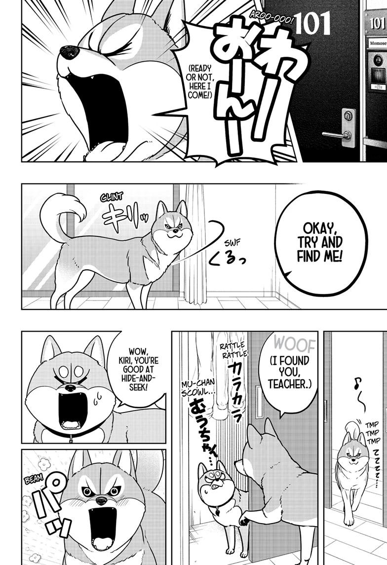 Shiba Inu Rooms Chapter 49 6