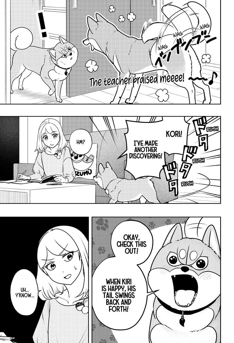 Shiba Inu Rooms Chapter 49 7
