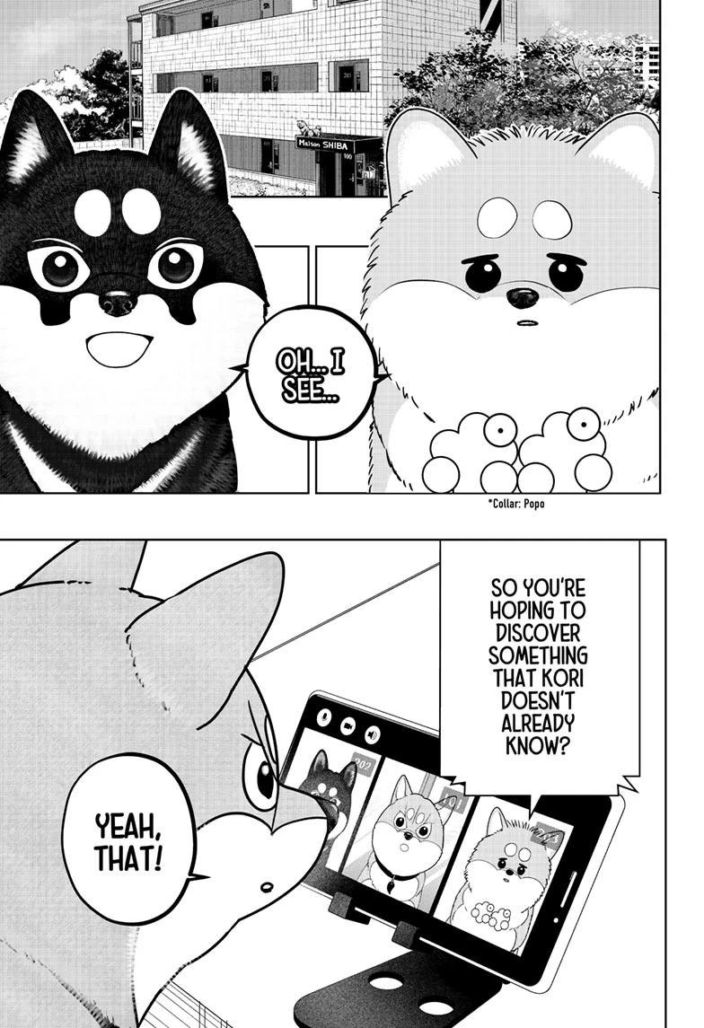 Shiba Inu Rooms Chapter 49 13
