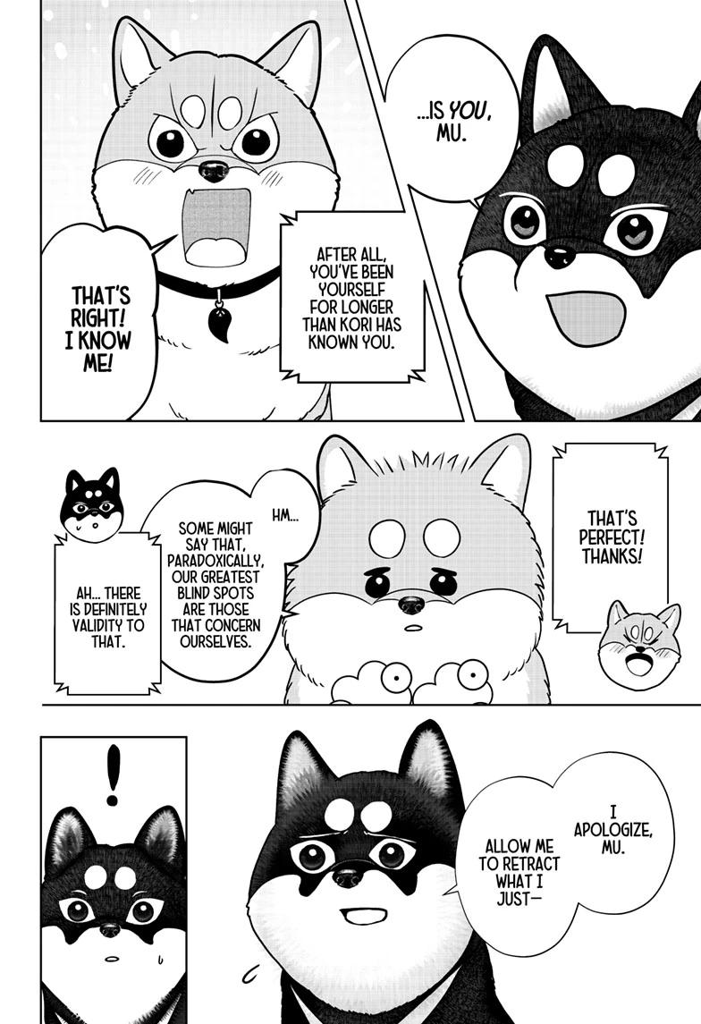 Shiba Inu Rooms Chapter 49 16