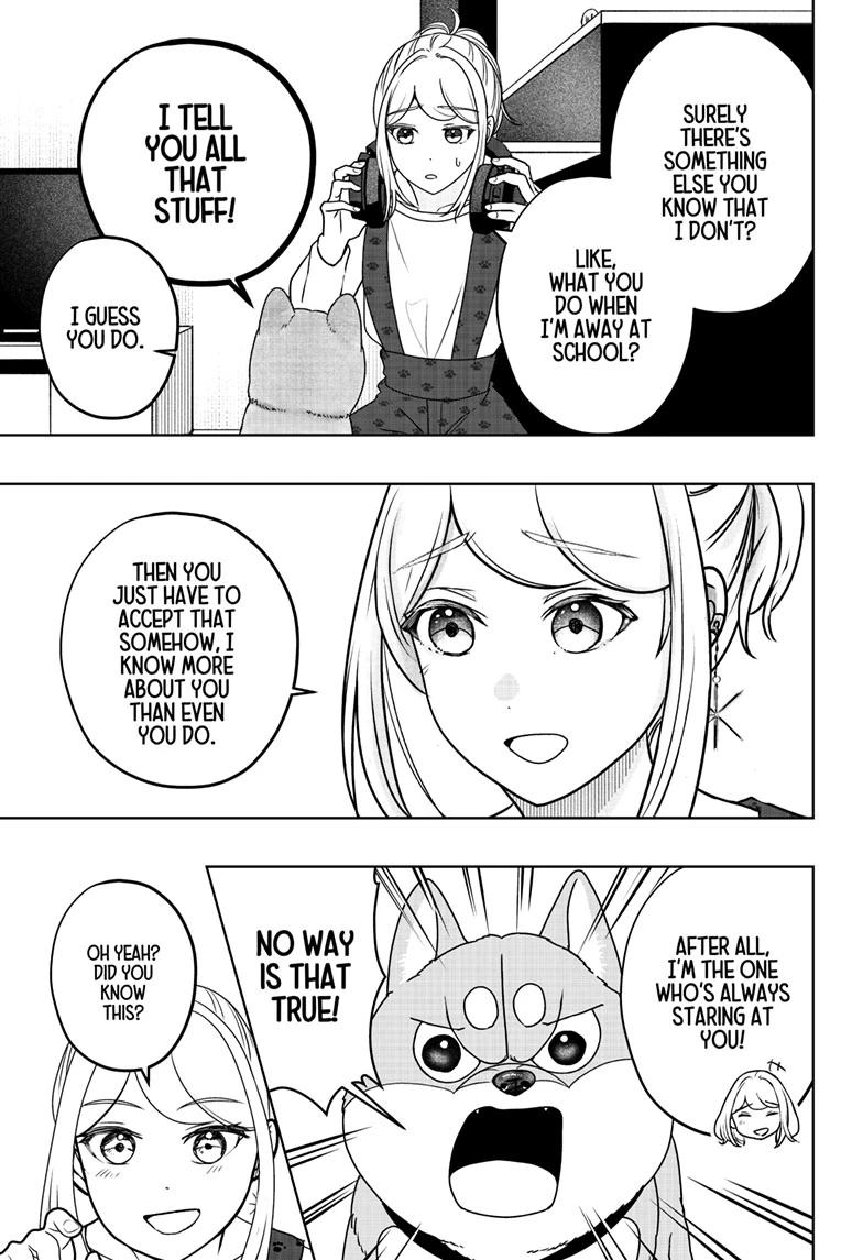 Shiba Inu Rooms Chapter 49 19