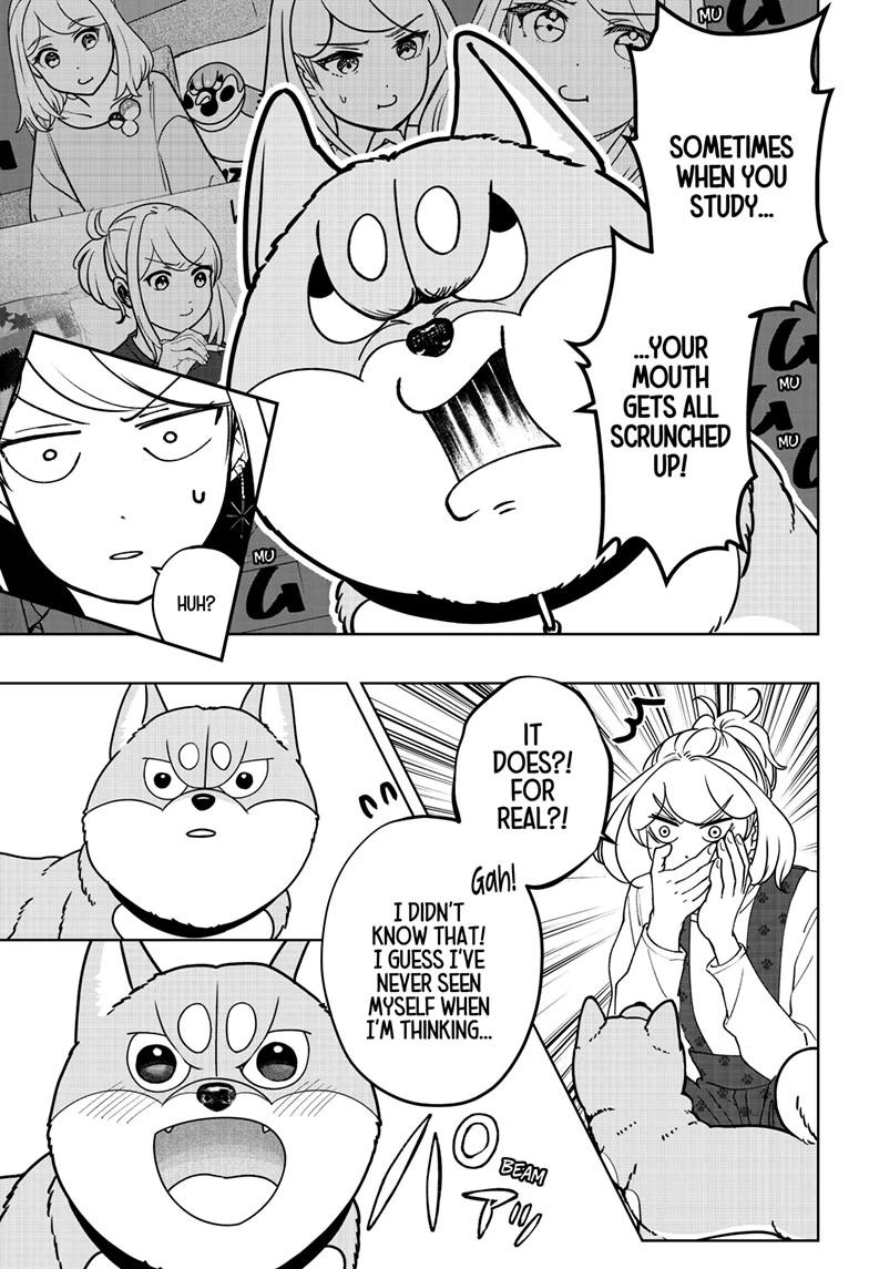 Shiba Inu Rooms Chapter 49 21