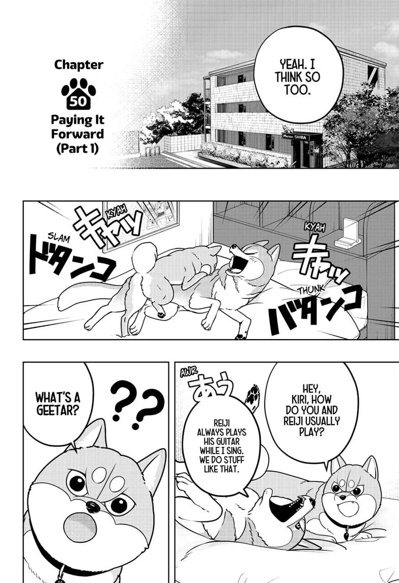 Shiba Inu Rooms Chapter 50 10