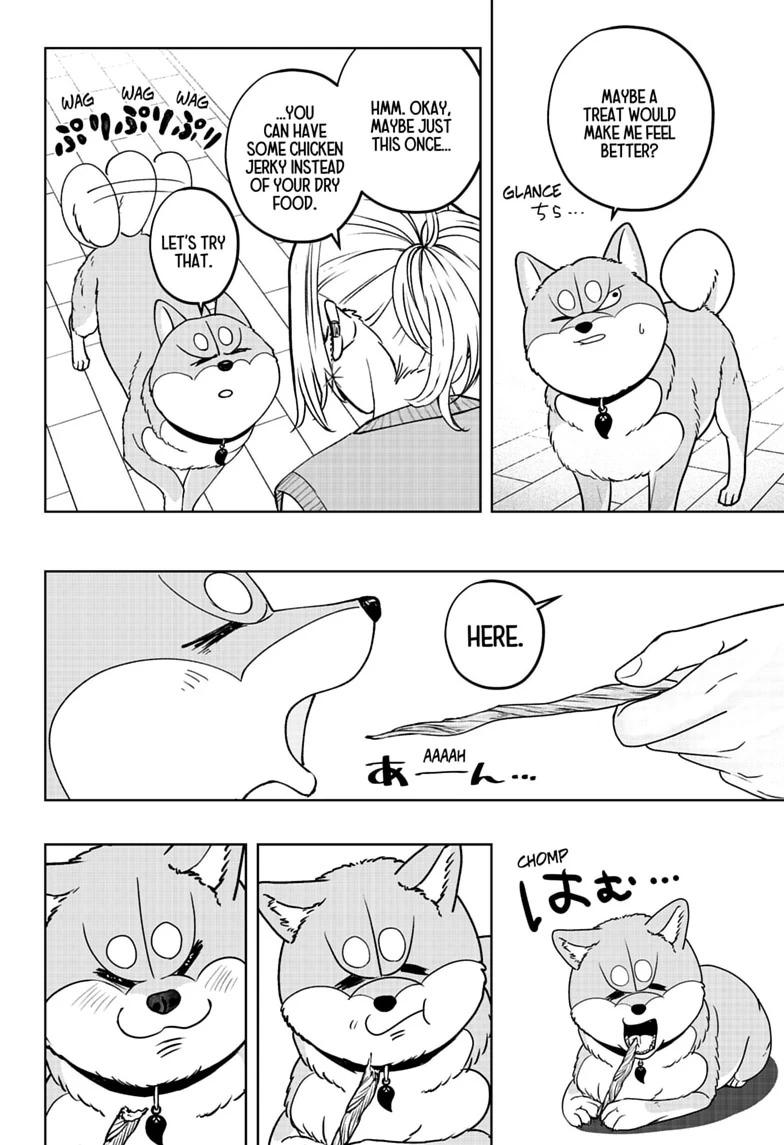 Shiba Inu Rooms Chapter 52 12