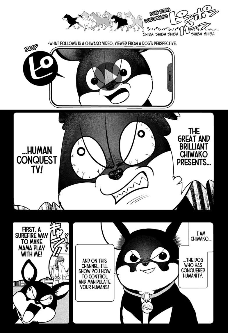 Shiba Inu Rooms Chapter 52 16
