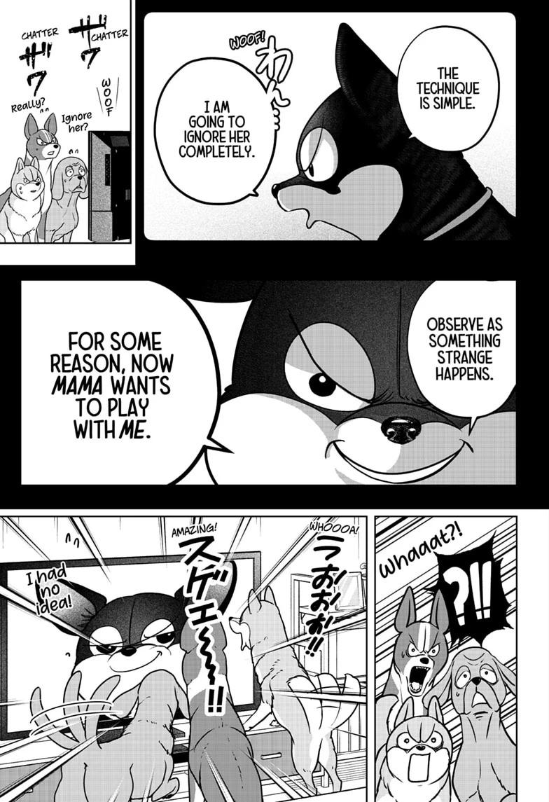 Shiba Inu Rooms Chapter 52 17