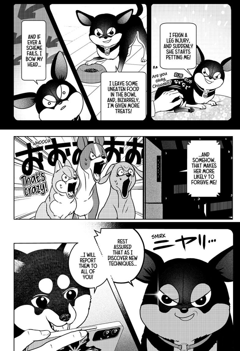 Shiba Inu Rooms Chapter 52 18
