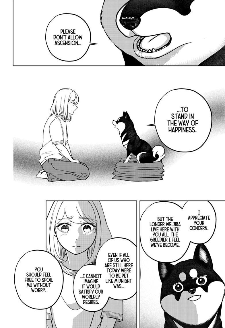 Shiba Inu Rooms Chapter 52 20