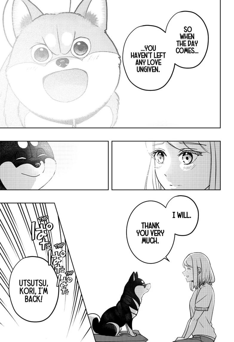 Shiba Inu Rooms Chapter 52 21