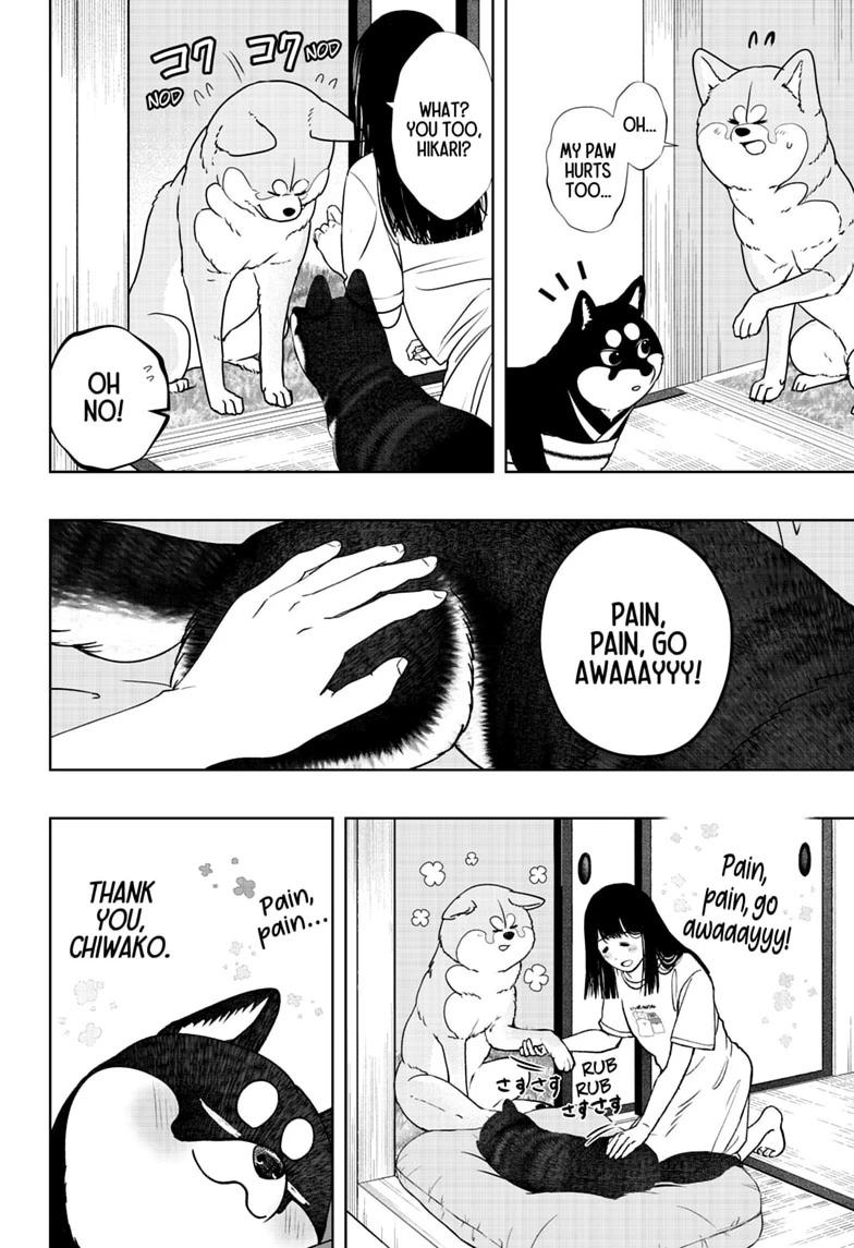Shiba Inu Rooms Chapter 52 24