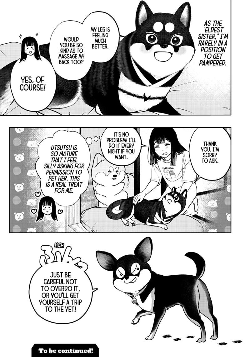 Shiba Inu Rooms Chapter 52 25