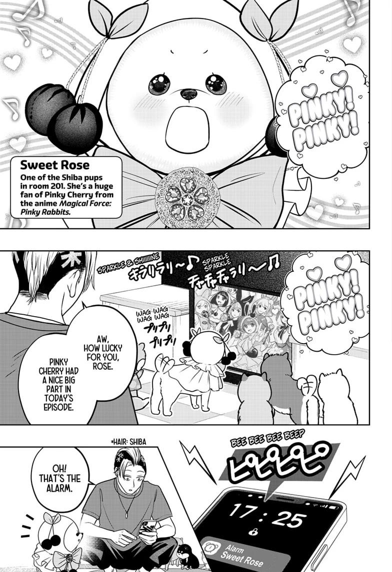 Shiba Inu Rooms Chapter 53 3