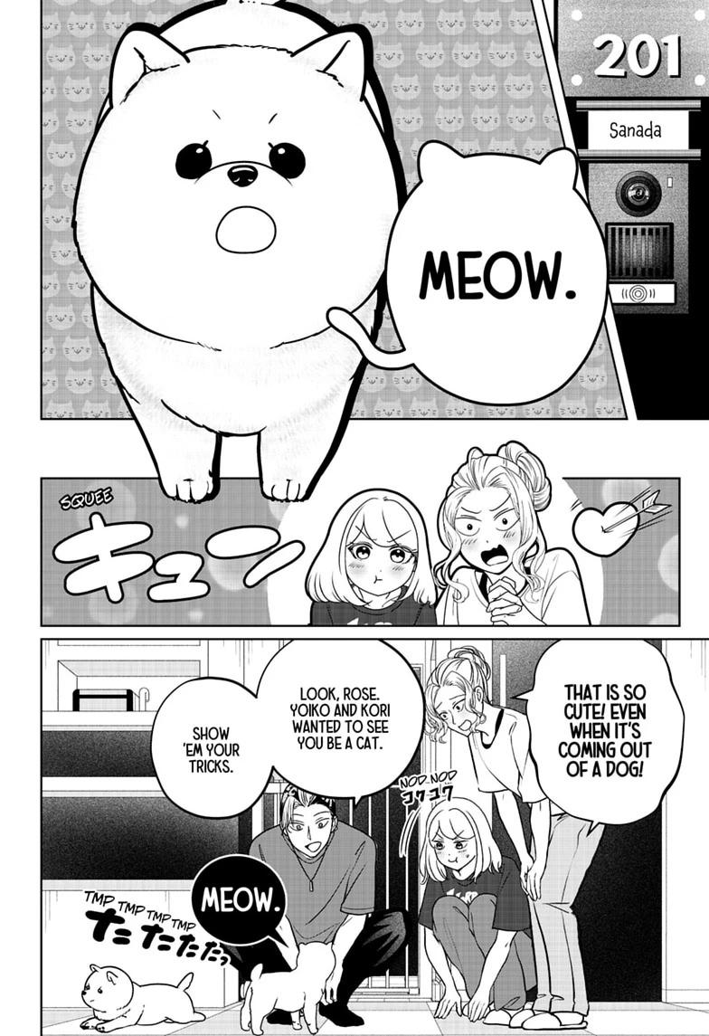 Shiba Inu Rooms Chapter 53 10