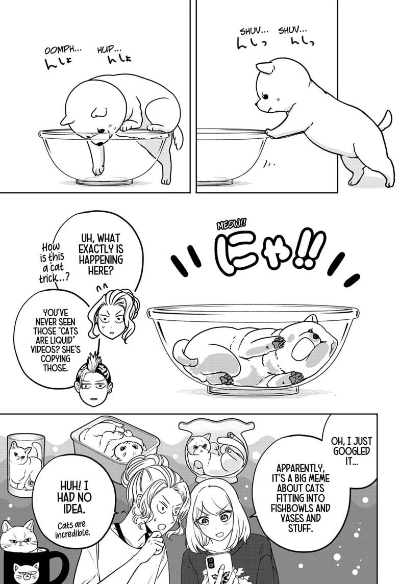 Shiba Inu Rooms Chapter 53 11