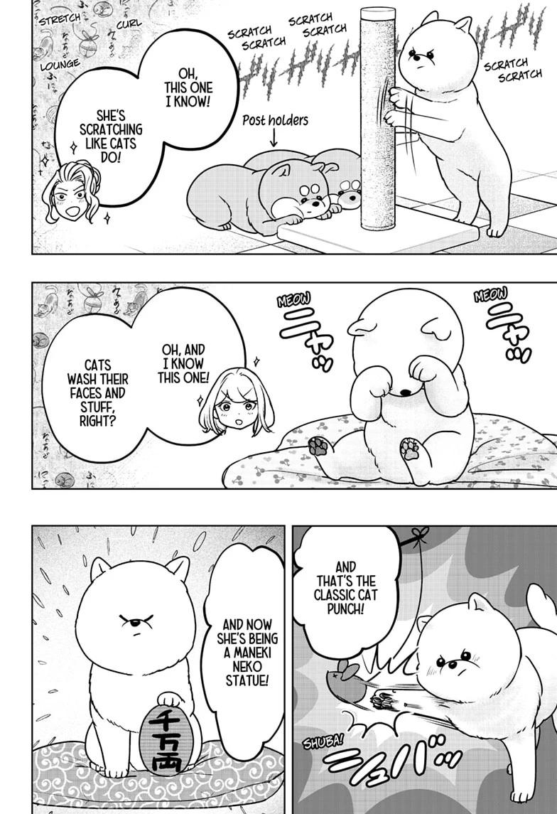 Shiba Inu Rooms Chapter 53 12