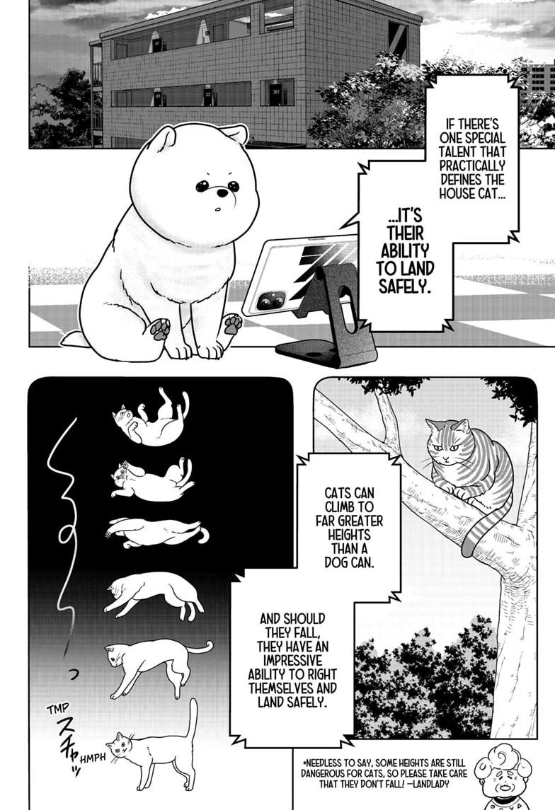 Shiba Inu Rooms Chapter 53 14