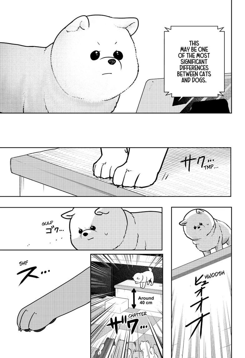 Shiba Inu Rooms Chapter 53 15