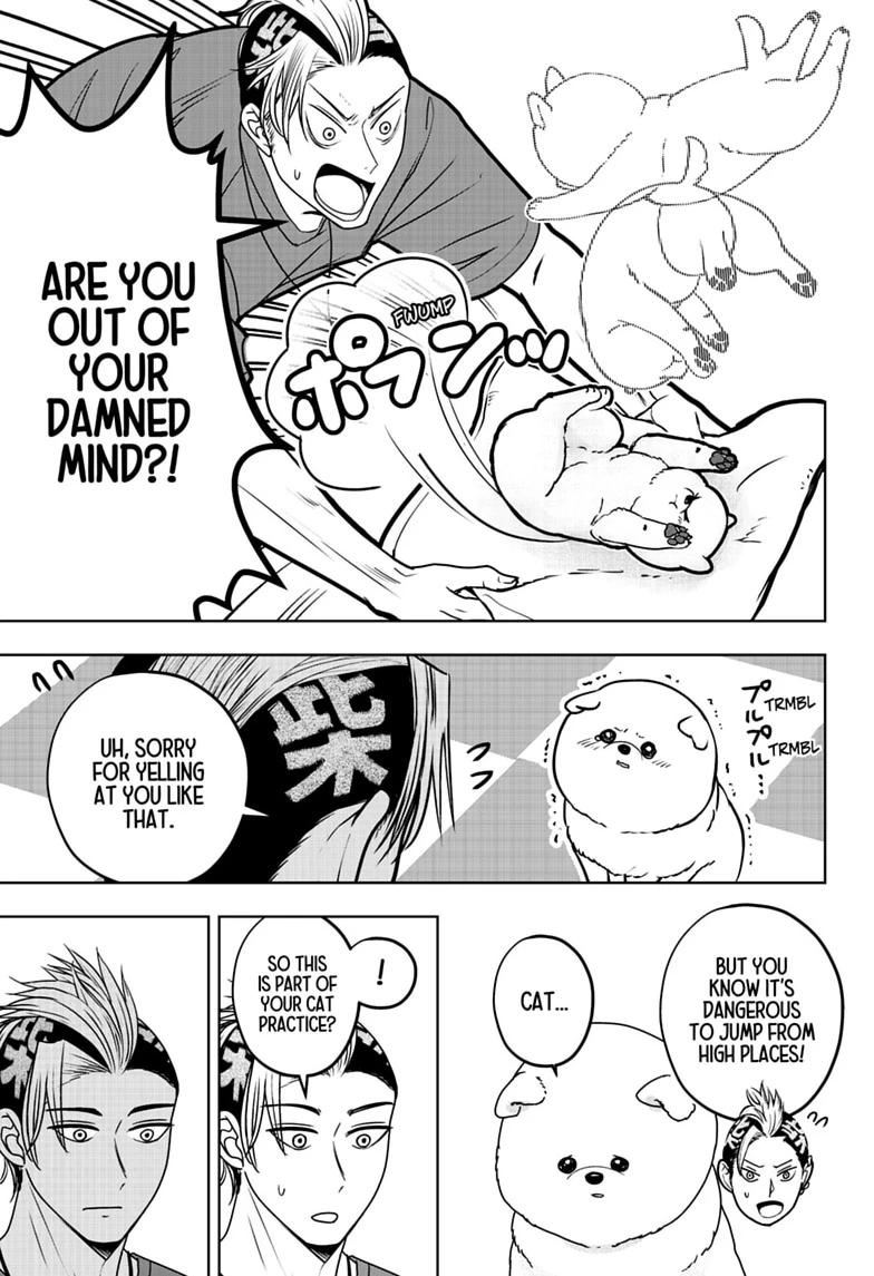 Shiba Inu Rooms Chapter 53 17