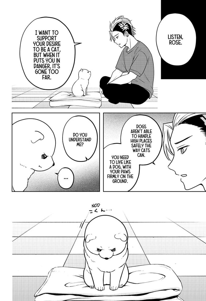 Shiba Inu Rooms Chapter 53 18