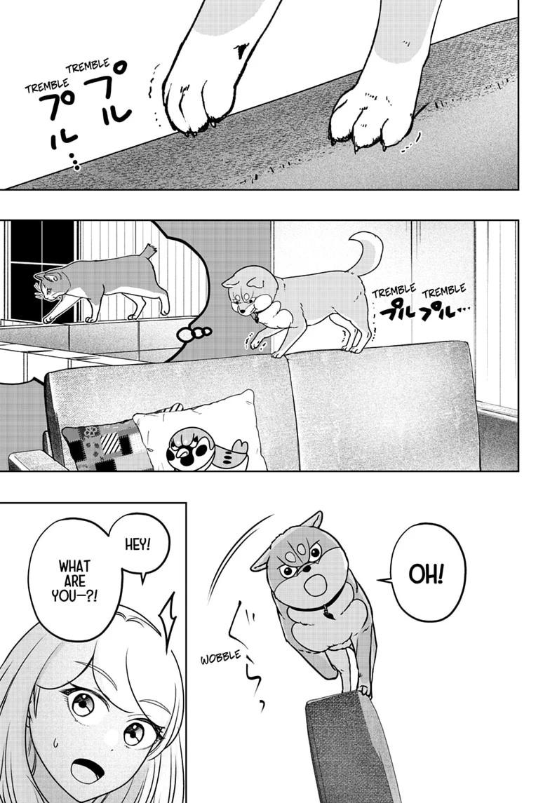 Shiba Inu Rooms Chapter 53 25