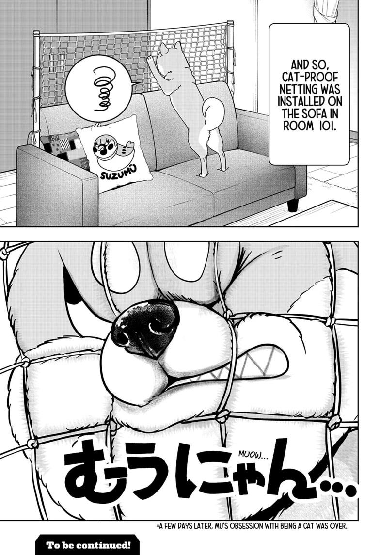 Shiba Inu Rooms Chapter 53 27