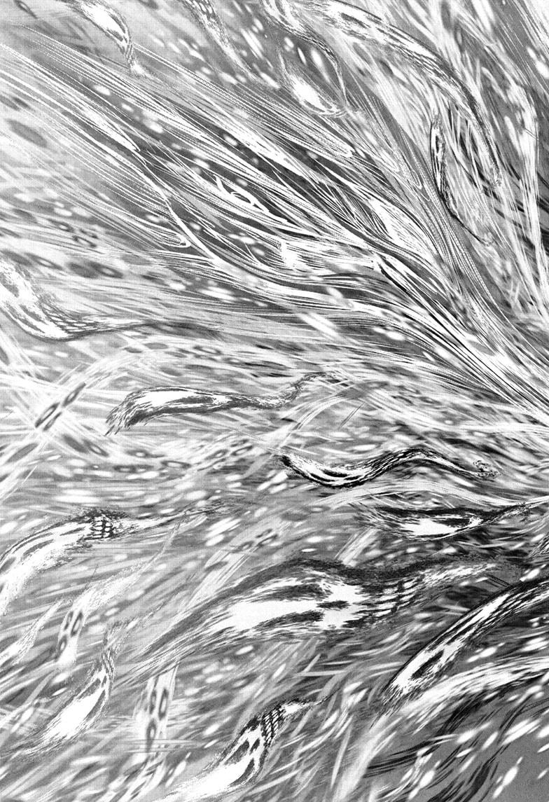 The Elusive Samurai Chapter 224 17