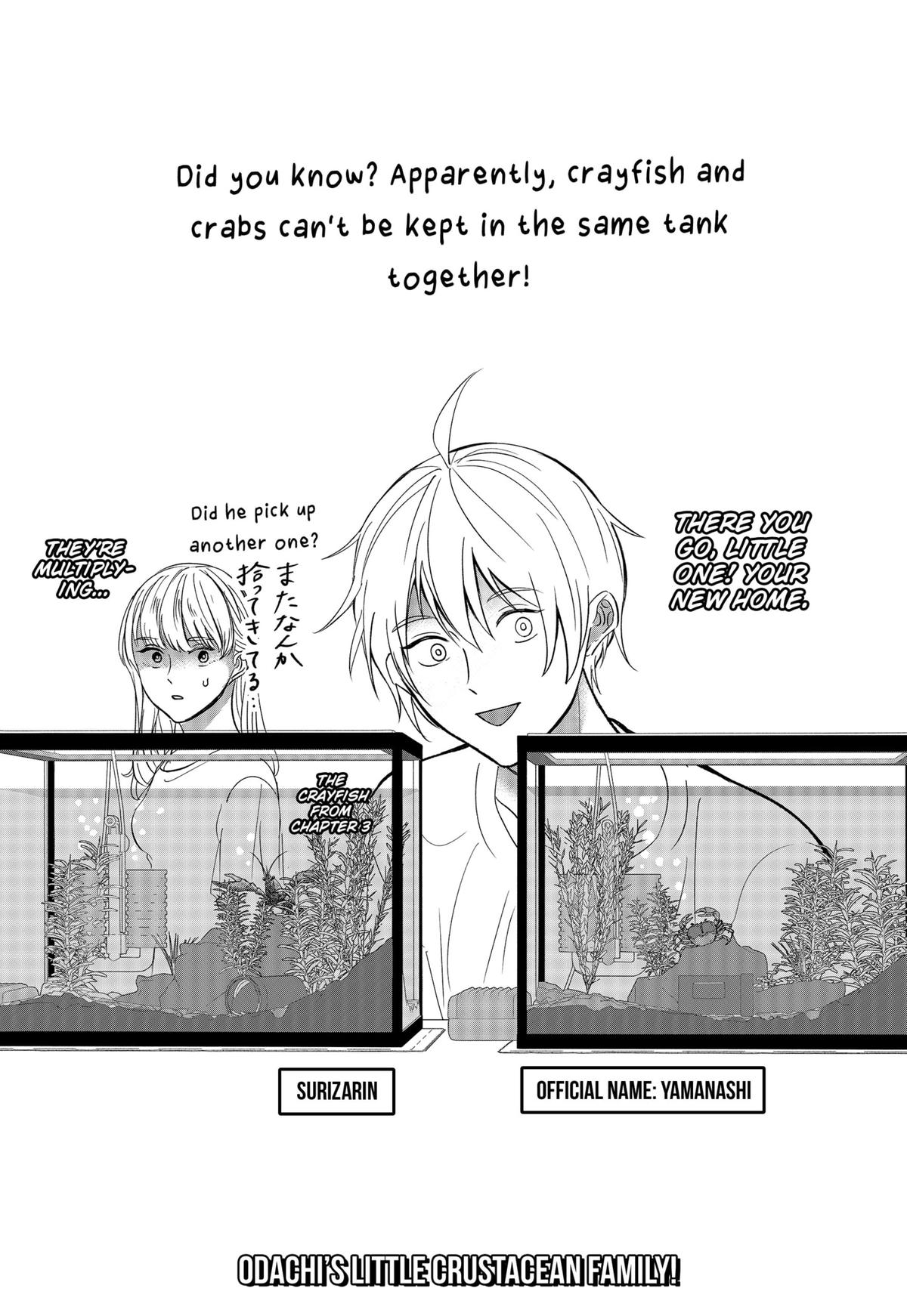 The God Before Me Chapter 38.5 7