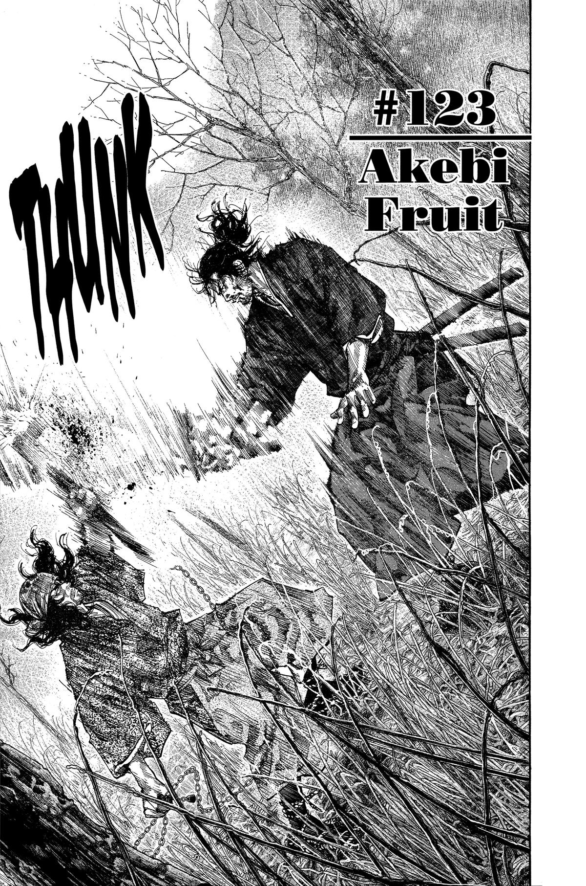 Vagabond # 123 1