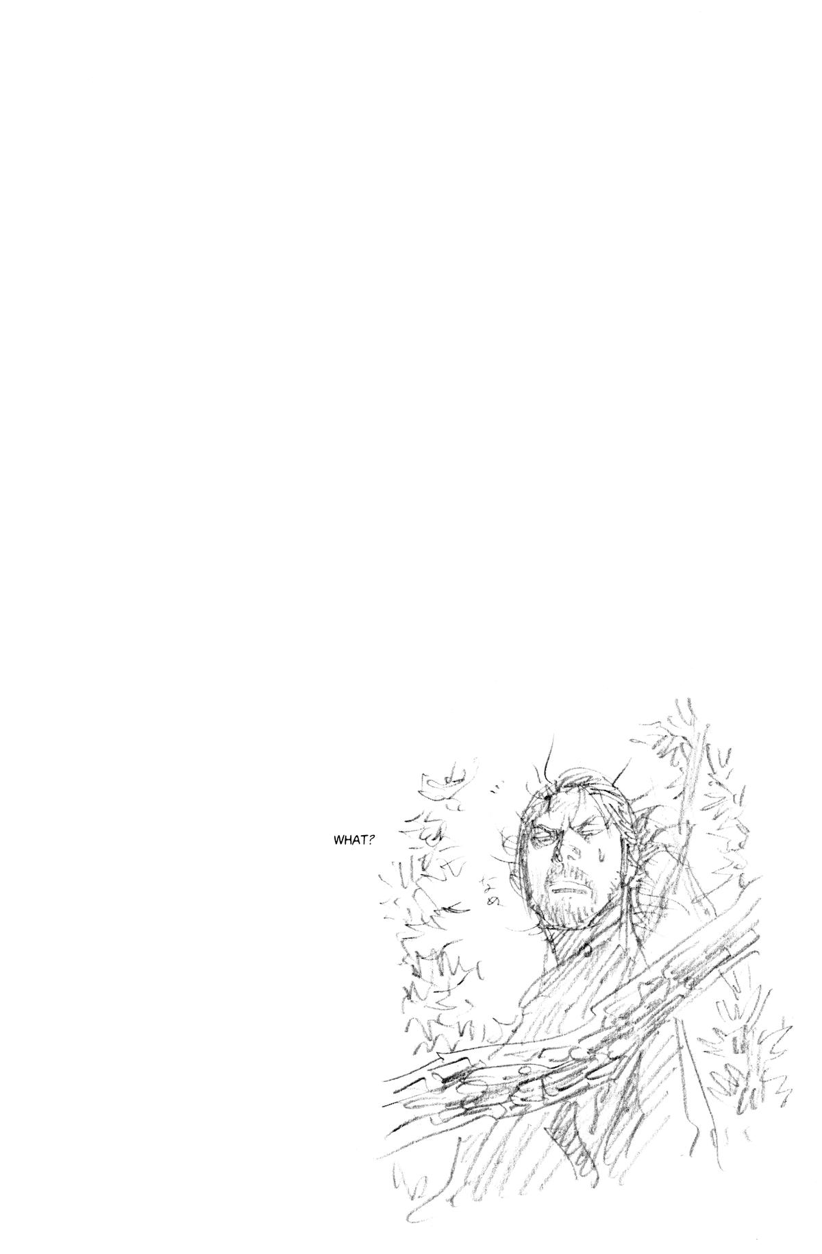 Vagabond # 221 18